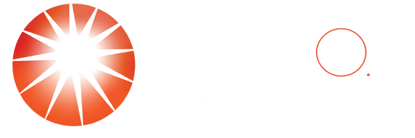 Caleo Consulting